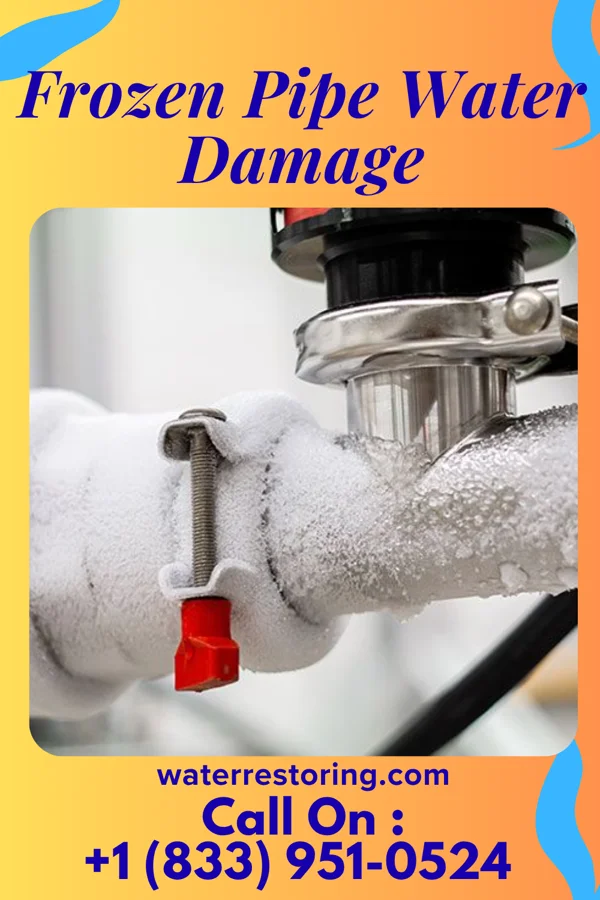Frozen Pipe Water Damage in Bryson City, NC
