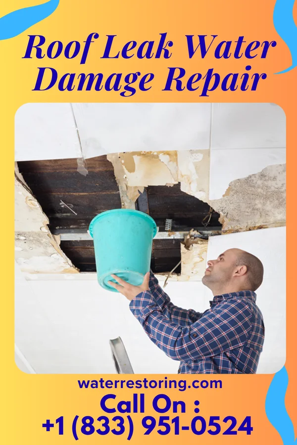 Roof Leak Water Damage Repair in Bryson City, NC